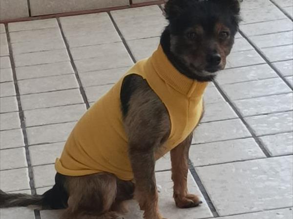 Hotel Villa Maredona - foto 54228.jpg