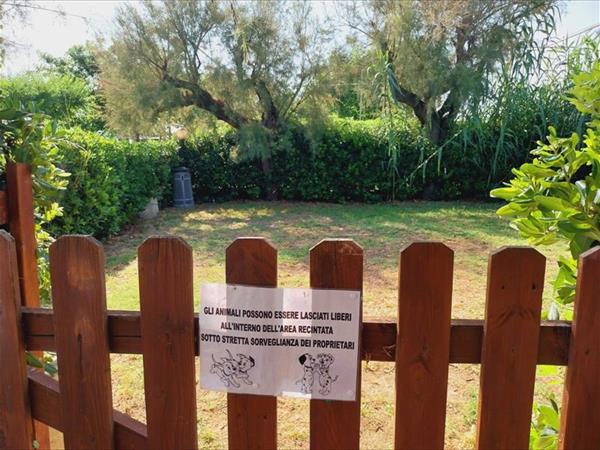 Pet Family Camping Cortina - foto 54313.jpg