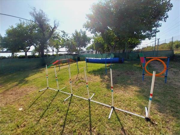 Pet Family Camping Cortina - foto 54318.jpg