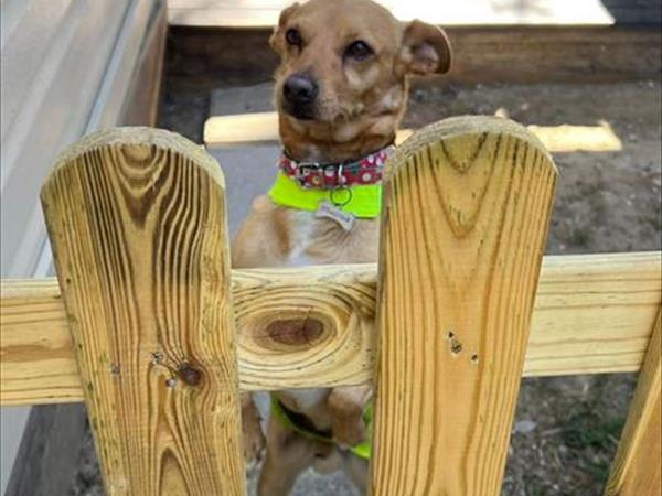 Baia dei Gabbiani - foto 54342.jpg