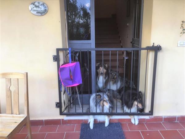 Metina - foto 54366.jpg