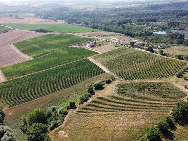 Agriturismo Podere Casa al Vento - foto 54421.jpg