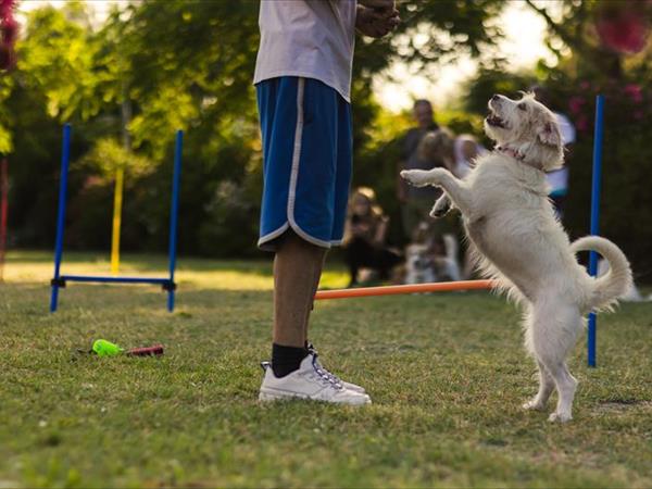 Centro Vacanze Camping Spinnaker - foto 54482.jpg