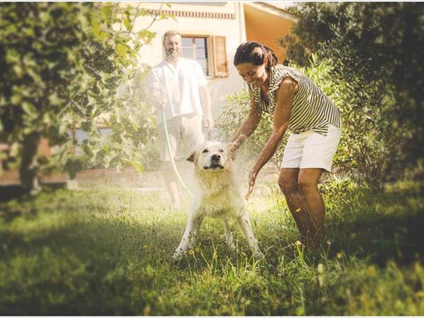 Agriturismo Costa Etrusca - foto 54489.jpg