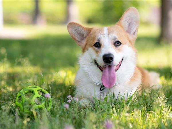 Agriturismo Domus Santa Croce - foto 54520.jpg