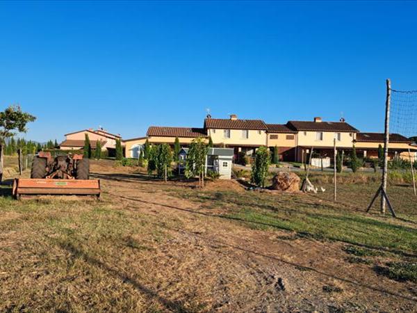 Fattoria Palazzeta  - foto 54527.jpg