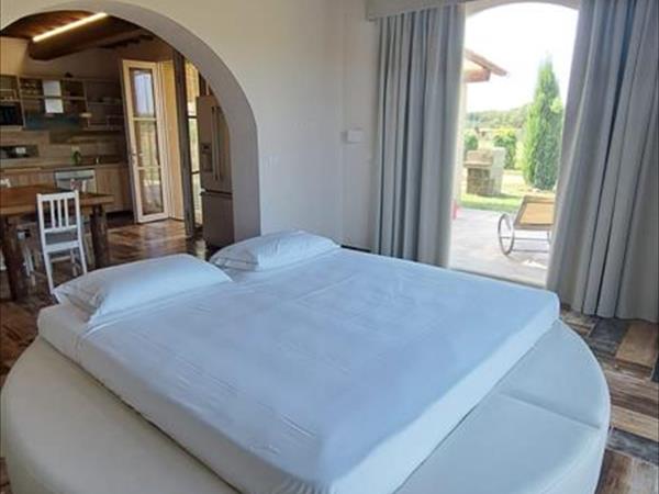 Fattoria Palazzeta  - foto 54528.jpg