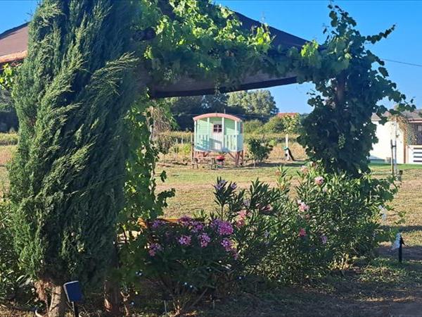 Fattoria Palazzeta  - foto 54531.jpg