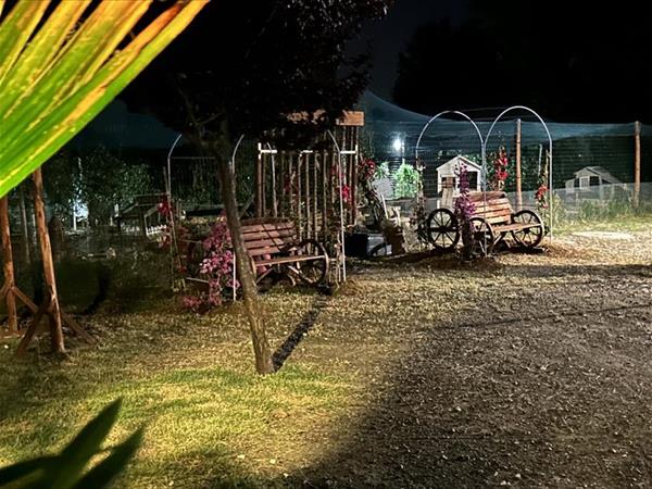 Fattoria Palazzeta  - foto 54532.jpg