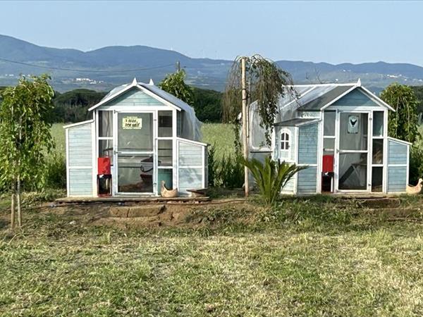 Fattoria Palazzeta  - foto 54534.jpg