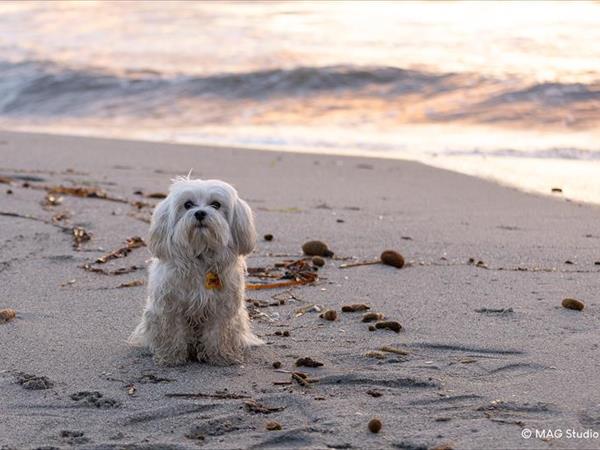 Horse Country Resort Congress & SPA  - foto 54638.jpg