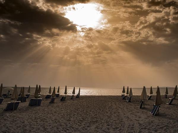 Horse Country Resort Congress & SPA  - foto 54644.jpg