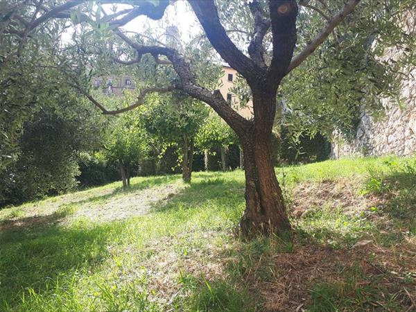 Casa di Luppe - foto 54753.jpg