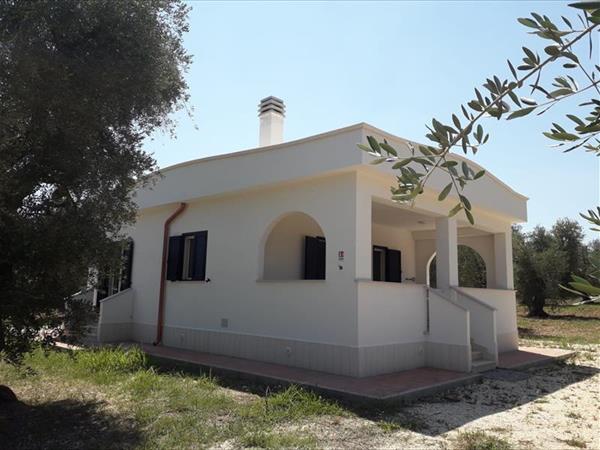 Residence Villa Medina - foto 54923.jpg