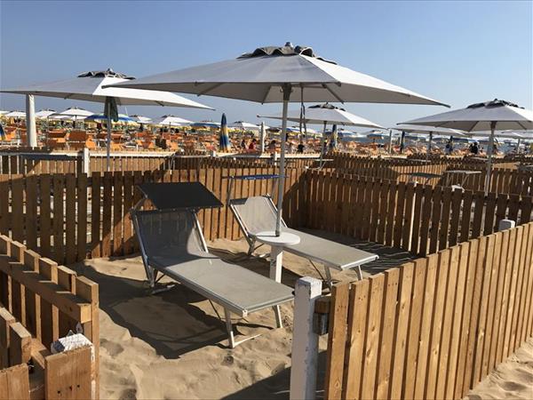 Rimini Dog No Problem - Bagno 81 Rimini - foto 55074.jpg