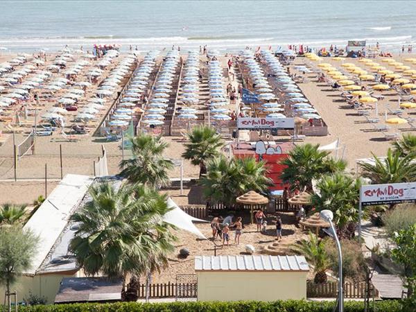 Rimini Dog No Problem - Bagno 81 Rimini - foto 55075.jpg