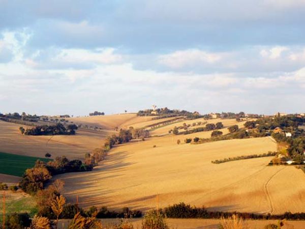 Agriturismo I Ciliegi del Checco - foto 1034.jpg