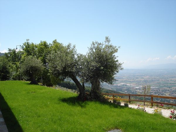 Le Mandrie di San Paolo - foto 6794.jpg