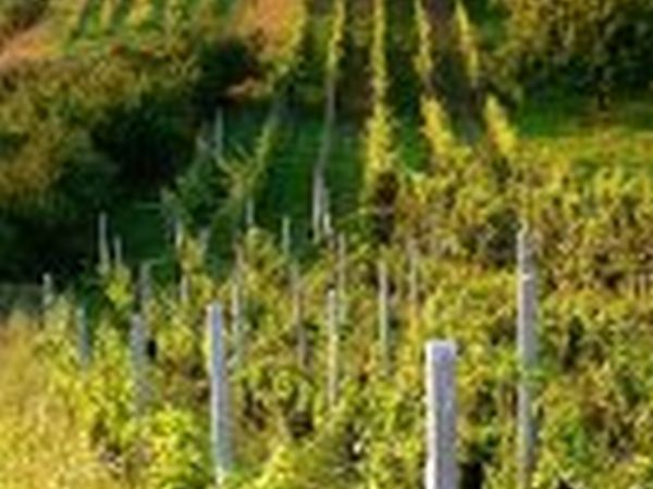 Al Monastero - foto 6841.jpg