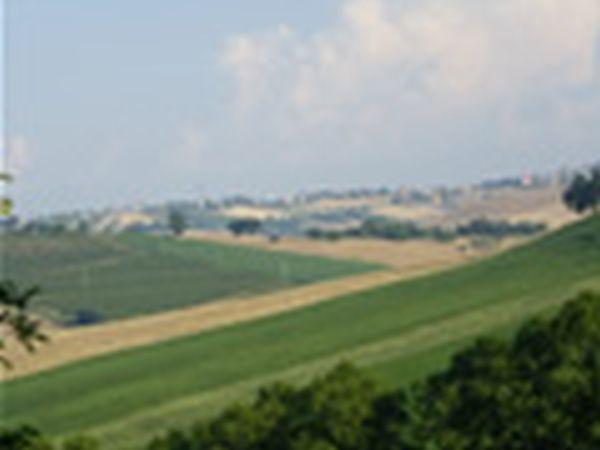 La Quercia del Saggio - foto 6905.jpg