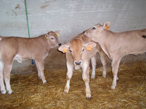 Agriturismo Del Quondam  - foto 7082.jpg