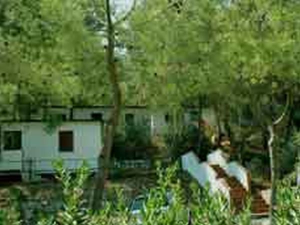 Villaggio Turistico Vieste Marina - foto 1381.jpg