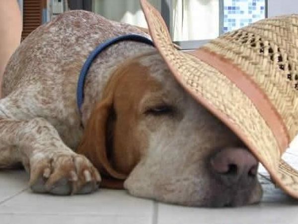  Spiaggia/Bagno Eugenia - foto 8210.jpg