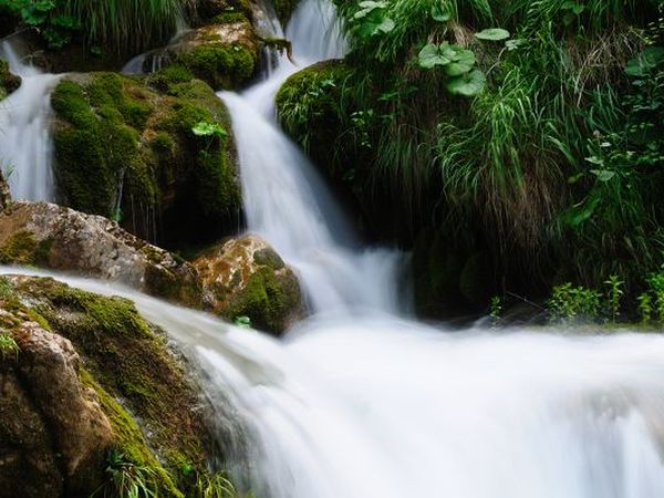 Campeggio Lo Schioppo  - foto 8566.jpg