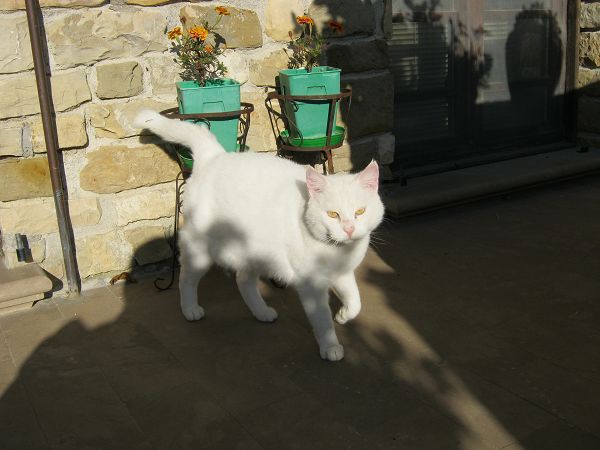 Agriturismo Casa Ciavaia - foto 9137.jpg