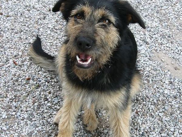 Villa Moretti - foto 9218.jpg