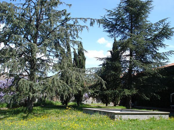 Villa del Giglio - foto 9616.jpg