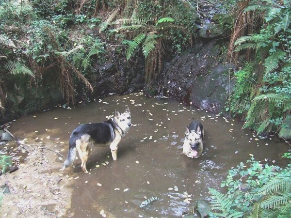 Agriturismo Bella Vita - foto 9670.jpg