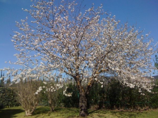 Relais Felciaino - foto 9683.jpg