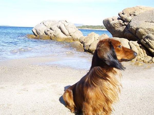 Cala dOro B&B - foto 9738.jpg