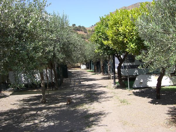 Campeggio Forza DAgr Mare - foto 9818.jpg