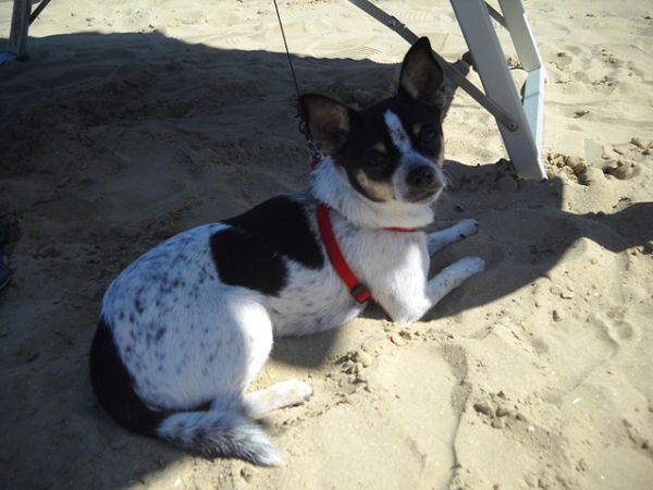 Bagno Egisto 38 - foto 9875.jpg