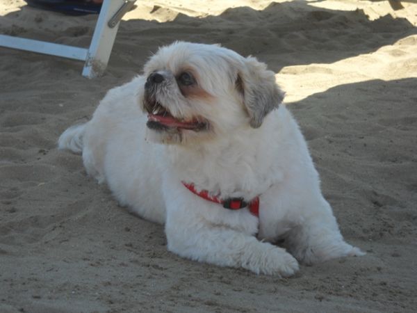 Bagno Egisto 38 - foto 9877.jpg