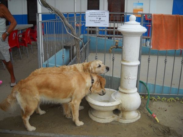 Bagno Egisto 38 - foto 9882.jpg