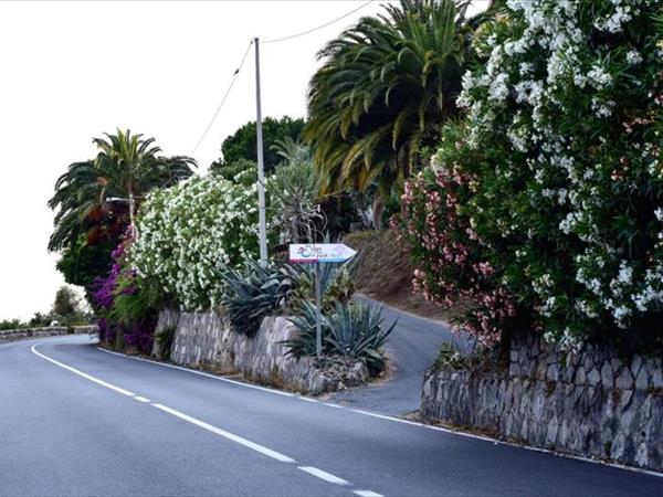 Agriturismo Un Mare di Fiori