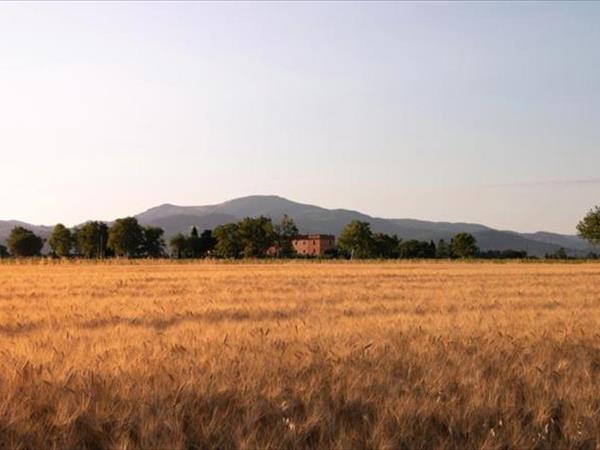 Agriturismo Il Pescinone