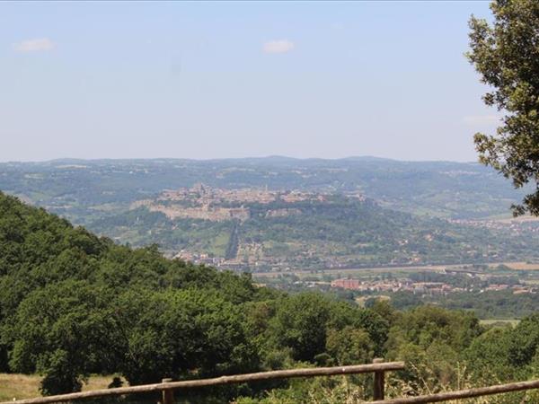 Agriturismo Fattoria Poggio Boalaio