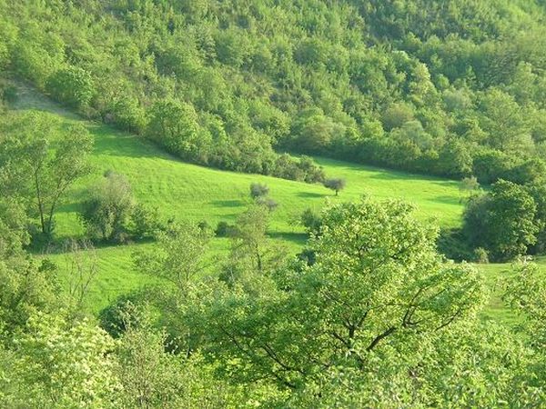 Agriturismo Guinzano