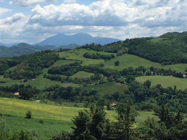 Green B&B Urbino C del vento