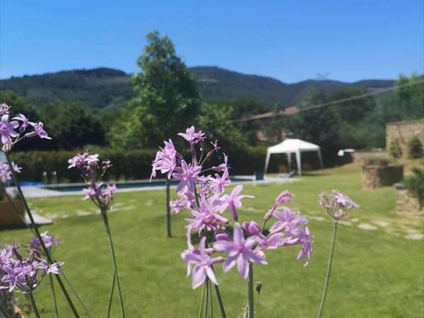 Alba Morus Bed e Breakfast sentiti ...