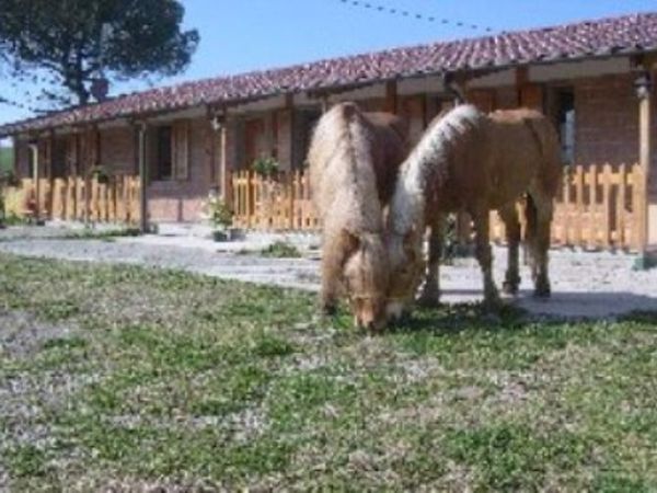 Centro Ippico Agriturismo Cerretale