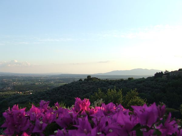 Agriturismo Bella Vita