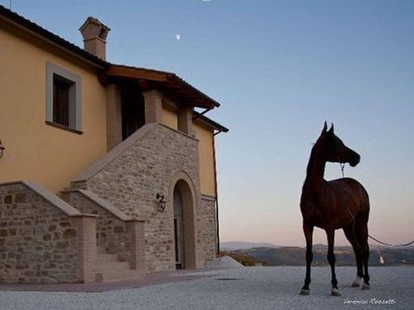 Agriturismo Il Moro