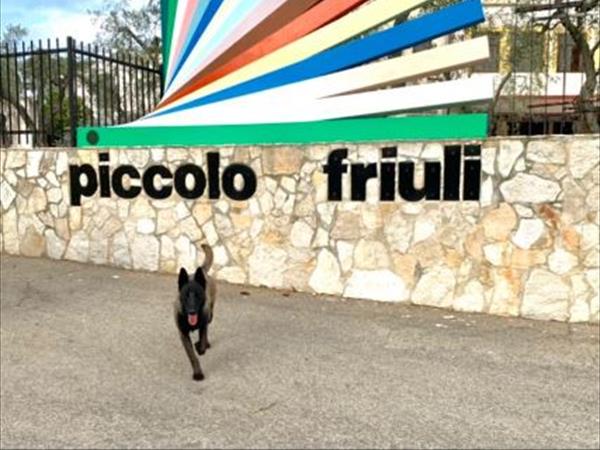 Centro Vacanze Piccolo Friuli