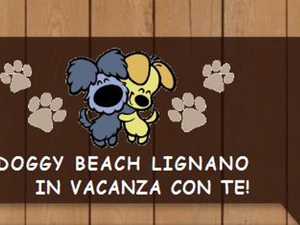 Doggy Beach 