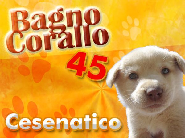 Dog Beach Corallo 45